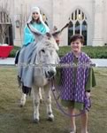 Riding Donkey | Riding Mule : Dallas Texas