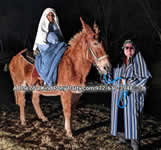 Riding Donkey | Riding Mule : Dallas Texas