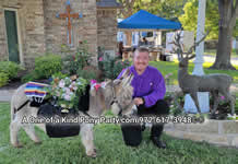 Riding Donkey | Riding Mule : Dallas Texas