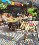 Riding Donkey | Riding Mule : Dallas Texas