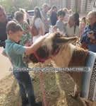 Riding Donkey | Riding Mule : Dallas Texas