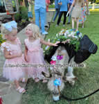 Riding Donkey | Riding Mule : Dallas Texas