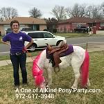 Dallas Texas Pony Party