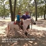 Dallas Texas Pony Party