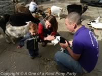 Dallas Texas Pony Party