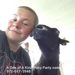 Dallas Texas Pony Party