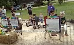 Dallas Texas Pony Party