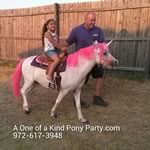 Dallas Texas Pony Party