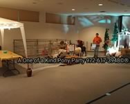 Nativity Scene Live Animal Rental : Dallas
