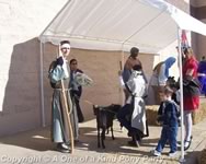 Nativity Scene Live Animal Rental : Dallas