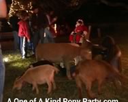 Nativity Scene Live Animal Rental : Dallas